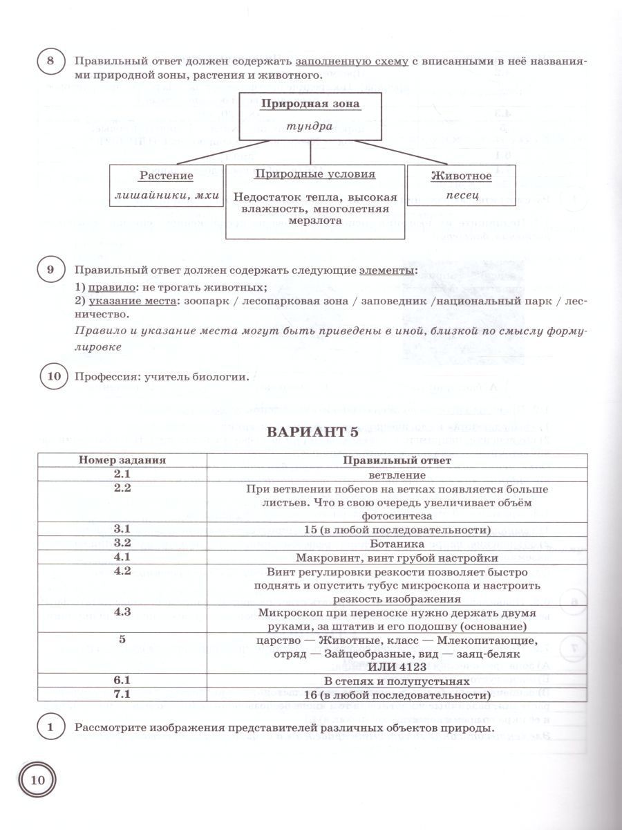Впр биология 5 образец с ответами