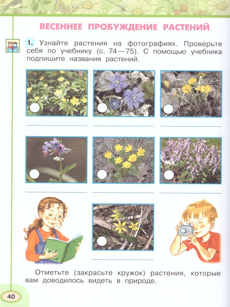 Окружающий мир 2 класс. Рабочая тетрадь в 2-х частях. Часть 2. ФГОС ...