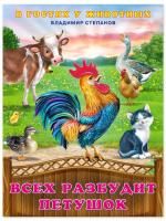 65677976