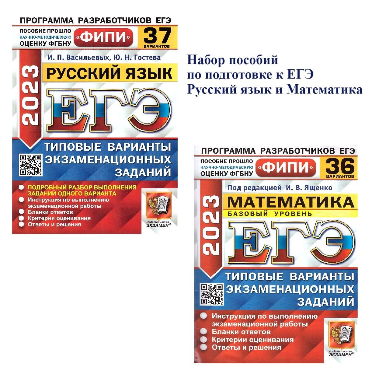Гостевых васильева егэ 2023. Васильевых ЕГЭ. ЕГЭ русский Васильевых. ЕГЭ русский 2023. Комплект ЕГЭ.