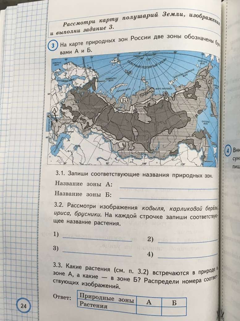 Впр окружающий мир 4 класс пройти тест