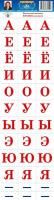 55591068