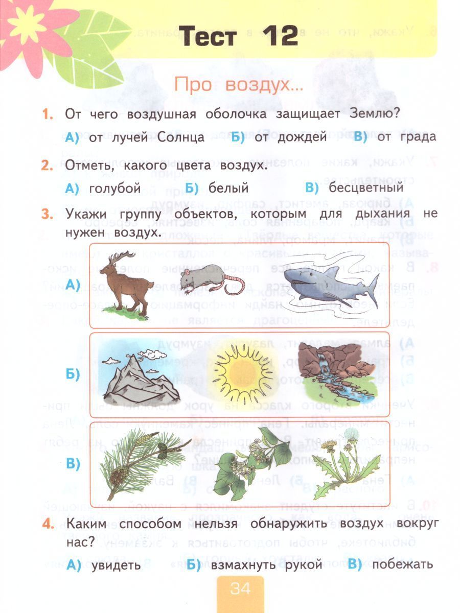 Тест впереди лето 2 класс окружающий. Земля на карте презентация 2 класс окружающий мир Плешаков. Плешаков проверочные работы 1 класс 2011. Тест Россия на карте 2 класс окружающий мир Плешаков с ответами. Окружающий мир раздел путешествие тесты 2 класс.