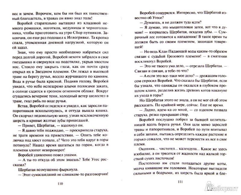 Знамение Луны "Знамение звезд" / Коты-воители - Межрегиональный Центр ...