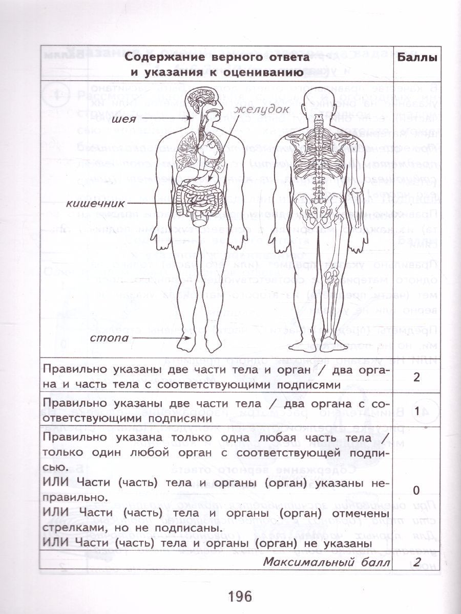 Сайт решу впр окружающий