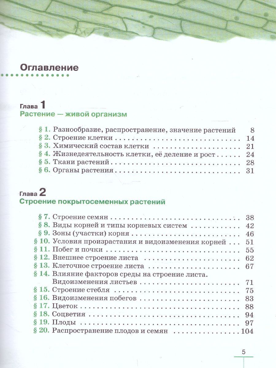 Содержание учебника биологии 6 класс пасечник. Оглавление 6 класс биология Пасечник. Оглавление учебника по биологии 6 класс Пасечник ФГОС. Содержание биология 6 класс Пасечник. Пасечник биология 6 класс Издательство Дрофа.