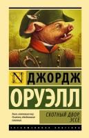 55645853
