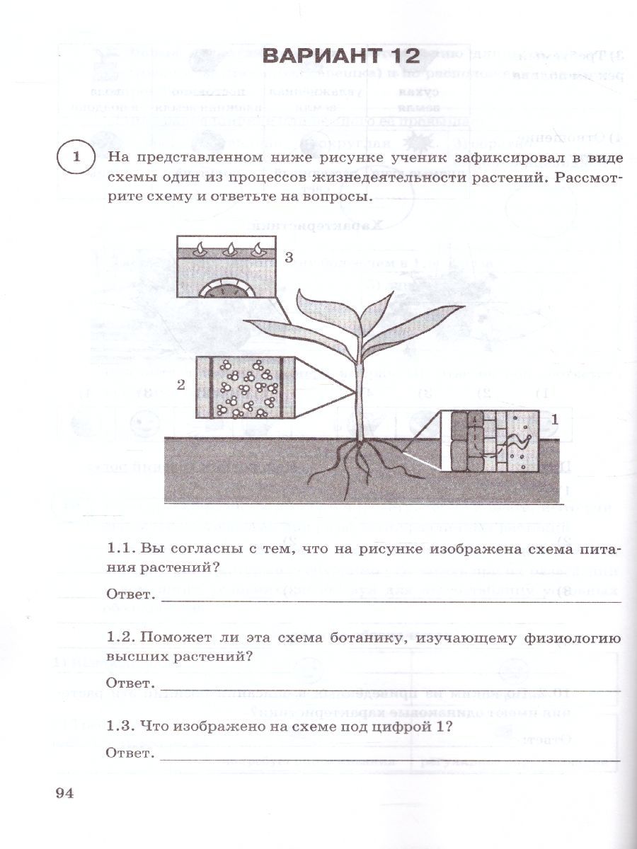 Впр по биологии 6 класс номер 2