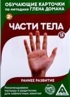 65675208