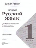 55622871