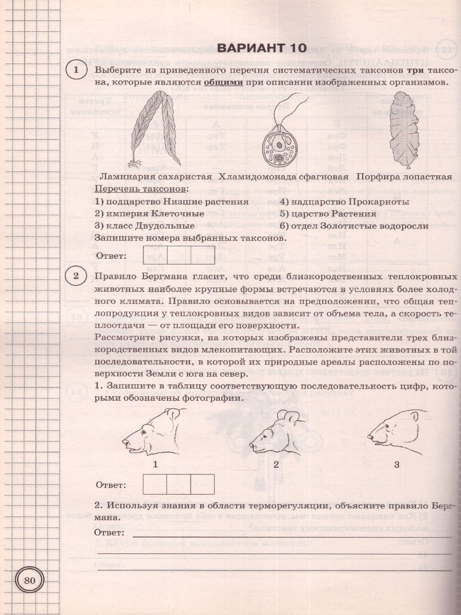 Демоверсия впр биология 11 2023