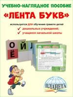 55640174