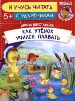 65648864