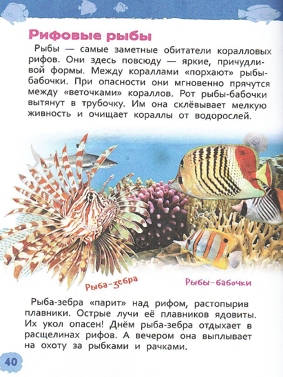 Подводный мир. Энциклопедия для детского сада - Межрегиональный Центр ...