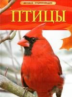 65664186