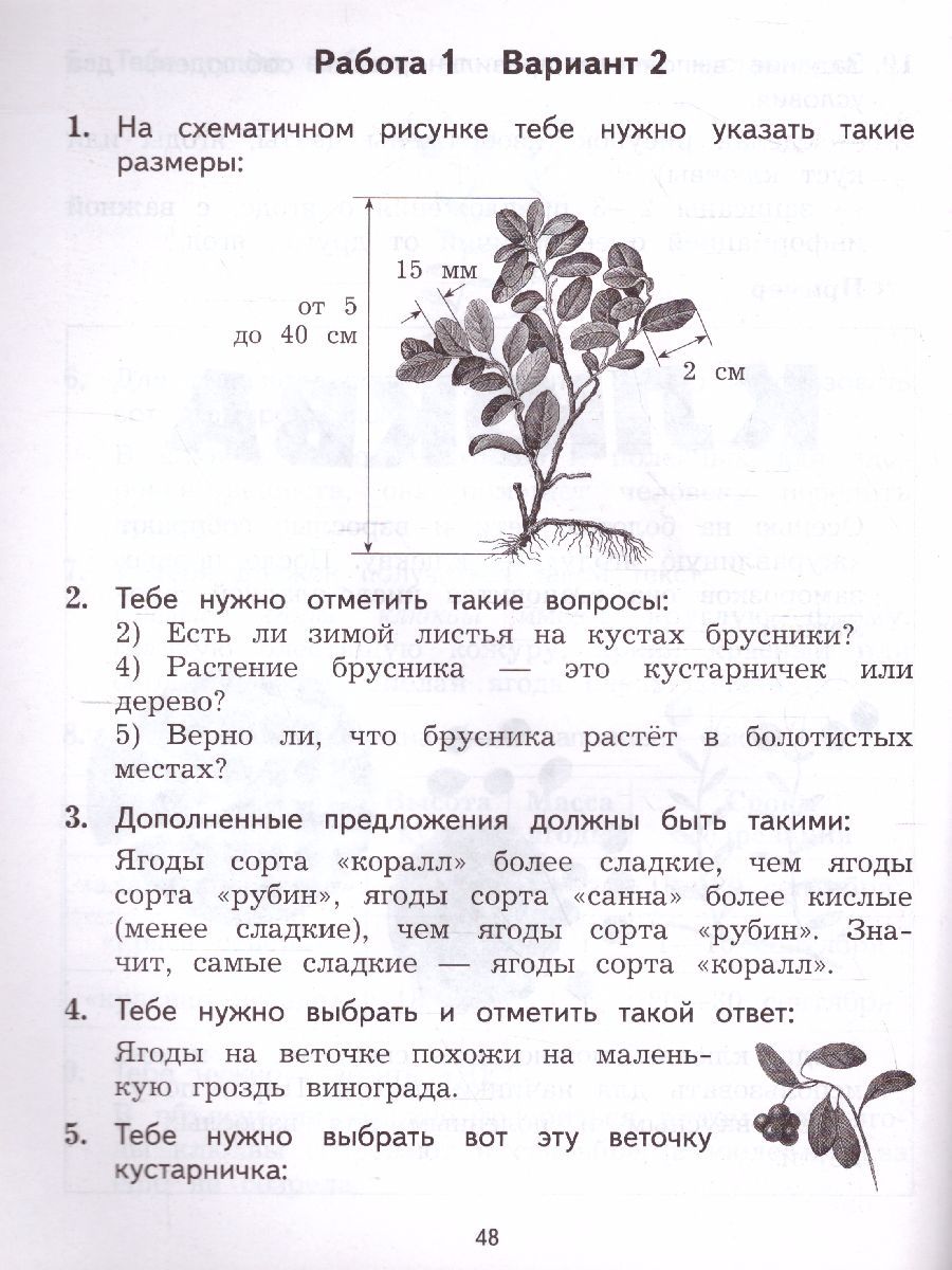 Итоговые комплексные работы 1 класс фгос. Комплексная контрольная работа. Комплексная контрольная работа 4 класс 21 век. Комплексная контрольная работа 4 класс 21 век. Контрольная работа.
