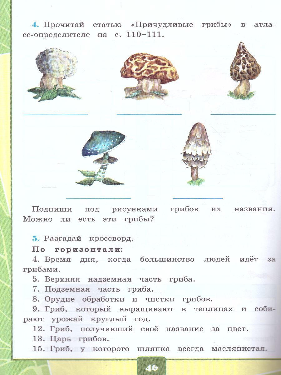 Презентация российская федерация 3 класс окружающий мир плешаков