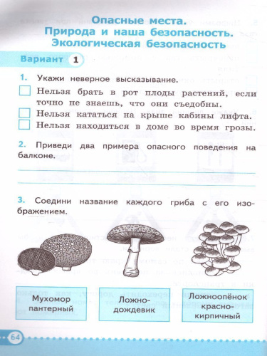 Окружающий мир 3 класс. Зачетные работы к учебнику А.А. Плешакова. ФГОС (к новому ФПУ)