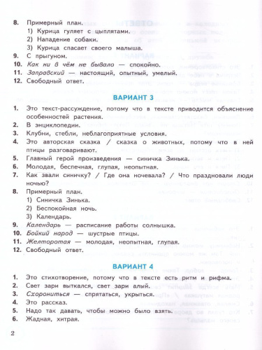 ВПР Литературное чтение 3 класс. Практикум. ФГОС