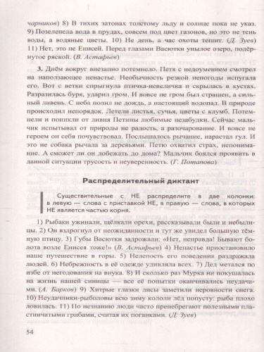 Русский язык 5 класс Диктанты К учебнику Т. А. Ладыженской