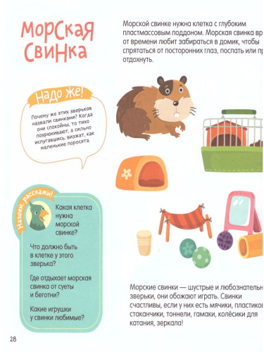 Мой солнечный мир. Веселая энциклопедия для малышей