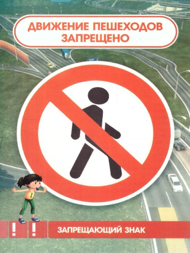 Дорожная азбука. Занимательные задания на внимание, память, мышление, логику. 16 главных знаков