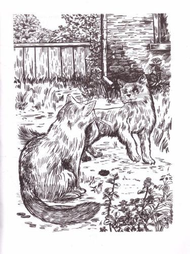 Коты-воители. Огненная река (цикл "Видение теней")