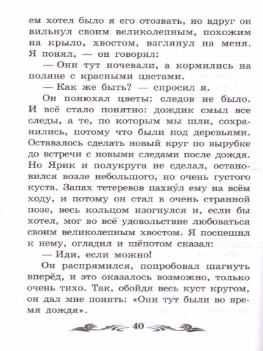 Птицы под снегом: рассказы