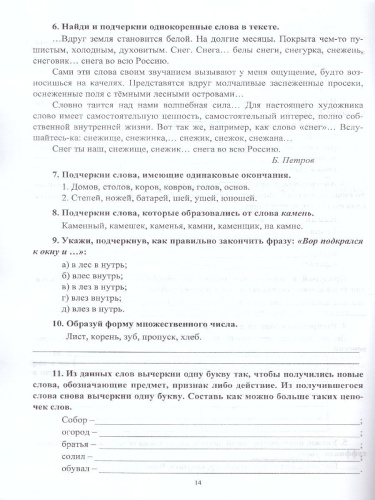 Предметные олимпиады 2 класс. Русский язык, математика, литературное чтение, окружающий мир