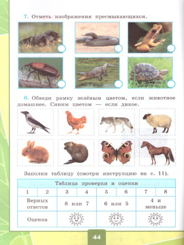 Окружающий мир 2 класс. Тетрадь для практических работ с дневником наблюдений. Часть 1. УМК Плешаков. К новому ФПУ. ФГОС