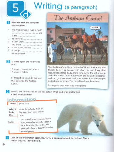 Английский в фокусе 5 класс. Spotlight. Рабочая тетрадь