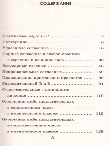Русский язык 3 класс. Подготовка к контрольным диктантам