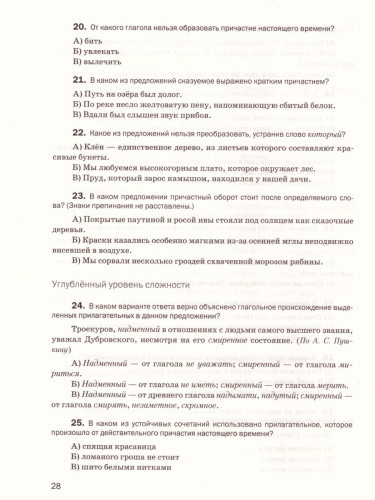 Русский язык 6 класс. Контрольные и проверочные работы