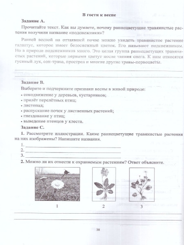 Окружающий мир 1-4 классы. Задания к урокам. Подготовка к ВПР