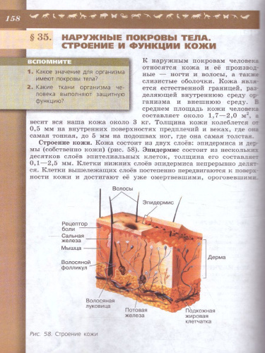 Биология 8 класс. Учебник. ФГОС