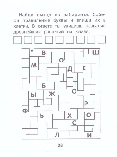 Прятки с буквами: готовимся к школе