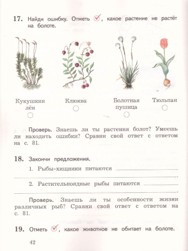 Окружающий мир 2 класс. Тетрадь для проверочных работ № 2. ФГОС