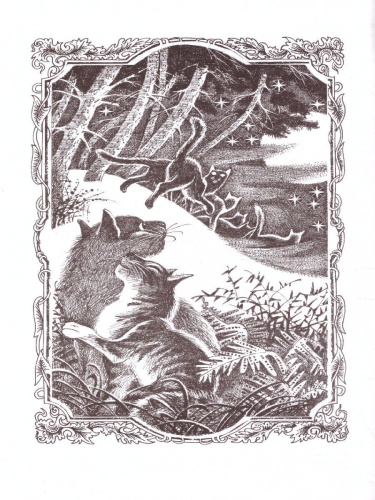 Цикл "Начало племен". Время выбора