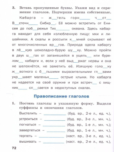 Тренажёр по русскому языку 4 кл. Навый ФГОС/ ТР (Вако)