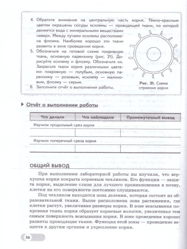 Биология 5-6 классы. Базовый уровень. Лабораторный практикум (с цифровым дополнением). ФГОС