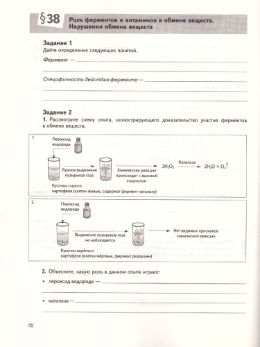 Биология 8 класс. Рабочая тетрадь №2. ФГОС