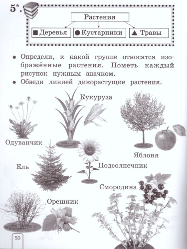 Окружающий мир 1 класс. Рабочая тетрадь