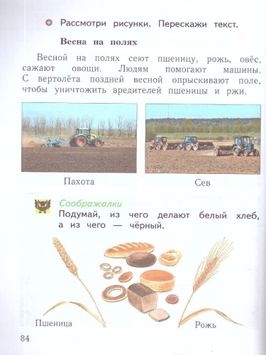 Окружающий мир 1 класс. Учебное пособие в 2-х частях. Часть 2