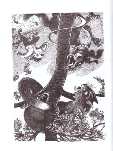 Коты-воители. Самая темная ночь