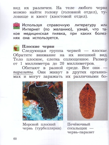 Окружающий мир 2 класс. Учебное пособие в 2-х частях. Часть 2