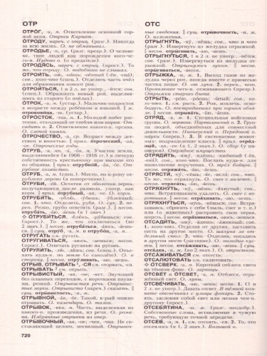Толковый словарь русского языка: около 100 000 слов, терминов и фразеологических выражений