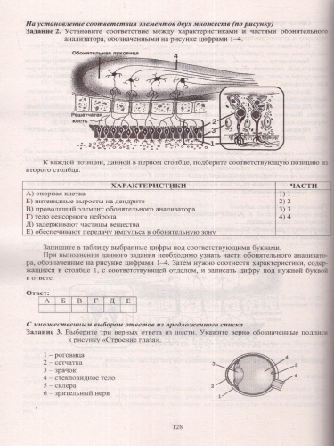 ЕГЭ 2024 Биология
