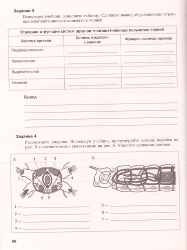 Биология 8 класс. Рабочая тетрадь № 1. ФГОС