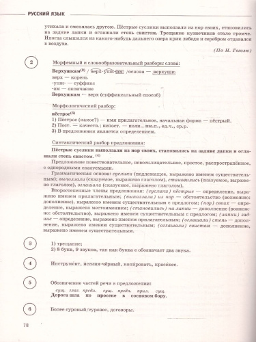 ВПР Русский язык 6 класс. Сборник вариантов проверочных работ