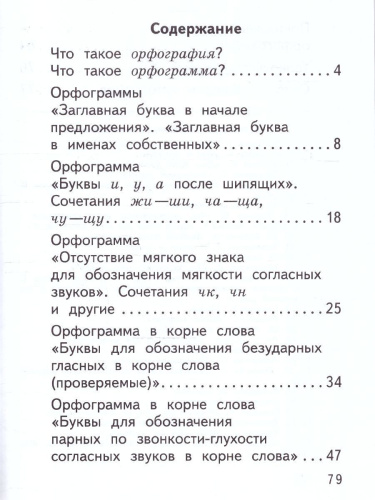 Русский язык 2 класс. Орфографический практикум